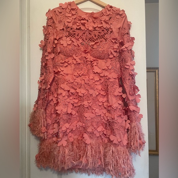 ASOS LUXE 3D floral embellished eyelet mini dress with faux feather trim - Picture 1 of 13